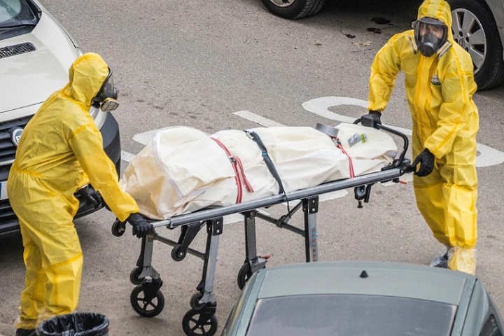أمريكا تعلن أول وفاة بشرية بسبب إنفلونزا الطيور أمريكا تعلن أول وفاة بشرية بسبب إنفلونزا الطيور