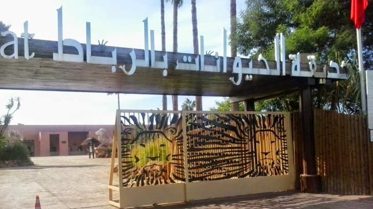 أزيد من 6 ملايين زائر لحديقة الحيوانات الوطنية بالرباط منذ 2012 أزيد من 6 ملايين زائر لحديقة الحيوانات الوطنية بالرباط منذ 2012