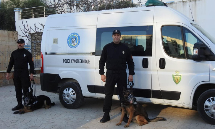 الأمن الجهوي بالحسيمة يتعزز بالفرقة السينوتقنية وأجهزة BOLAWRAP الأمن الجهوي بالحسيمة يتعزز بالفرقة السينوتقنية وأجهزة BOLAWRAP