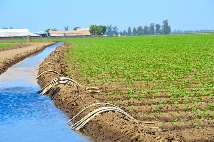 تحسن نسبي في قطاع الزراعة بالمغرب رغم تكرار سنوات الجفاف تحسن نسبي في قطاع الزراعة بالمغرب رغم تكرار سنوات الجفاف