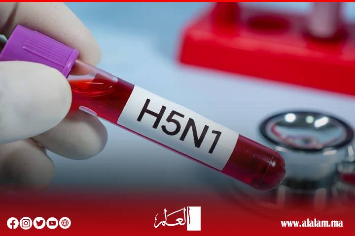 فيروس "H5N1".. سلالة جديدة من إنفلونزا الطيور تنتشر فيروس "H5N1".. سلالة جديدة من إنفلونزا الطيور تنتشر