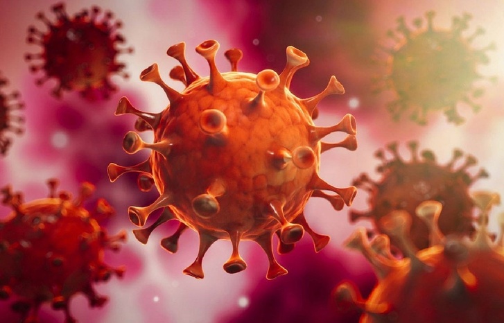 فيروس كورونا جديد في الخفافيش يثير القلق العالمي.. فيروس كورونا جديد في الخفافيش يثير القلق العالمي..