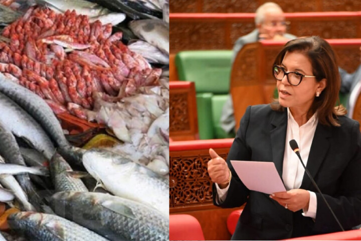 الدريوش: الحكومة تعمل على تقليص عدد الوسطاء في سوق السمك الدريوش: الحكومة تعمل على تقليص عدد الوسطاء في سوق السمك