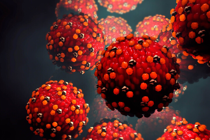 توضيحات تنفي ادعاءات فرنسا وبلجيكا الموجهة للمغرب.. توضيحات تنفي ادعاءات فرنسا وبلجيكا الموجهة للمغرب..