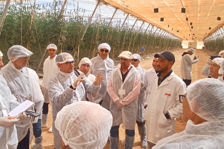 النسخة الثالثة من المسيرة العلمية البيئية تسلط الضوء على التنمية المستدامة بالأوساط الصحراوية النسخة الثالثة من المسيرة العلمية البيئية تسلط الضوء على التنمية المستدامة بالأوساط الصحراوية