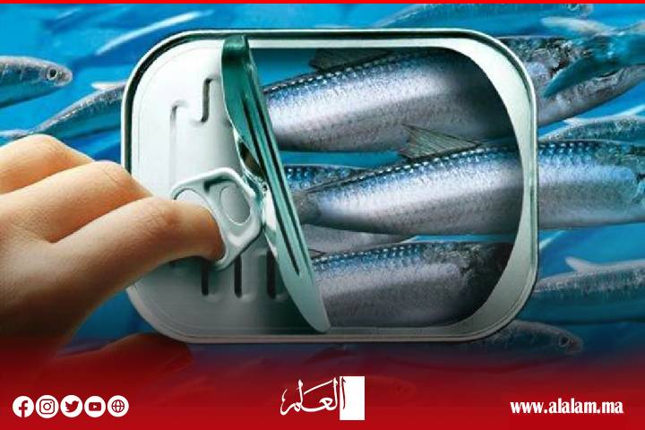 أسعار الأسماك في ارتفاع متواصل وسمك الفقراء بات نادرا في الأسواق أسعار الأسماك في ارتفاع متواصل وسمك الفقراء بات نادرا في الأسواق