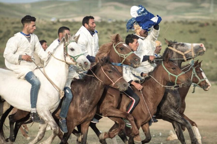 مهرجان "ماطا" للفروسية يحتفي بربع قرن من الازدهار في دورة استثنائية تحت الرعاية الملكية مهرجان "ماطا" للفروسية يحتفي بربع قرن من الازدهار في دورة استثنائية تحت الرعاية الملكية