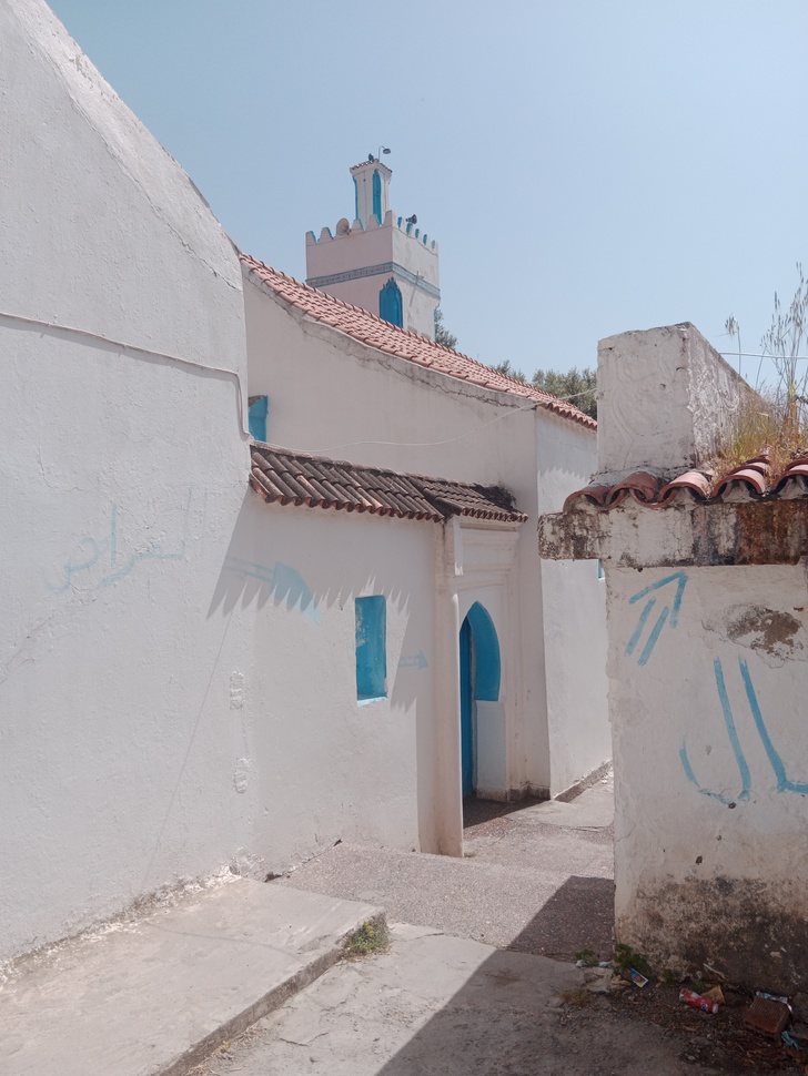 في مجاز الغيم: رحلة عبر مسجد طارق بن زياد في مجاز الغيم: رحلة عبر مسجد طارق بن زياد