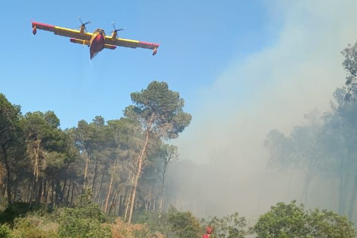 فرق الإطفاء تسابق الزمن لإخماد حريق غابة "هوارة" ضواحي طنجة فرق الإطفاء تسابق الزمن لإخماد حريق غابة "هوارة" ضواحي طنجة