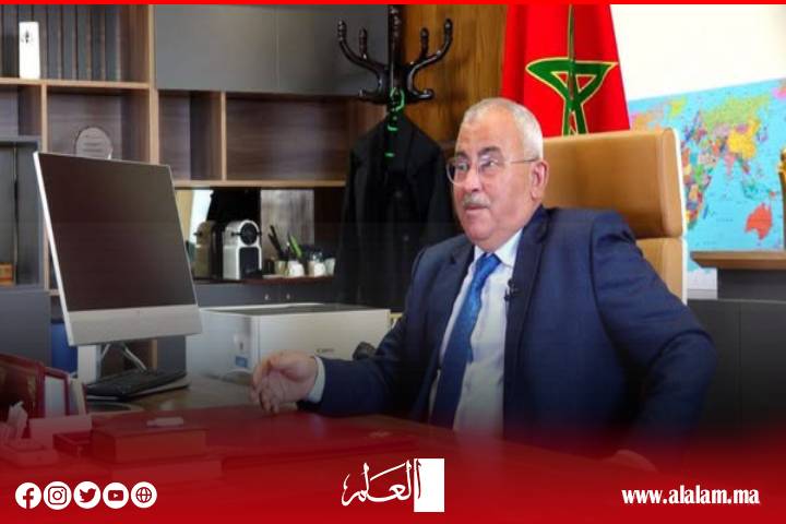 البوجدايني يقود وفدا سينمائيا رفيعا بمهرجان آنسي لتعزيز إشعاع سينما التحريك المغربية