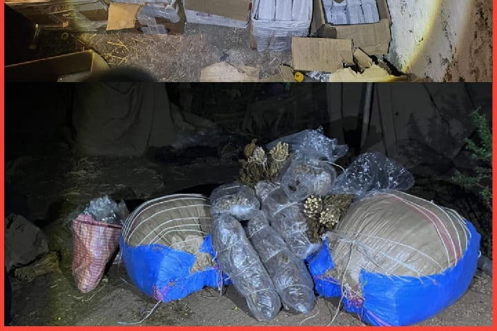 صورة من الأرشيف صورة من الأرشيف