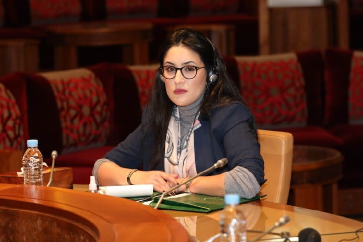 مروى الأنصاري تُنتخب رئيسة للاتحاد الإفريقي للشباب الديمقراطي بتفوق واضح مروى الأنصاري تُنتخب رئيسة للاتحاد الإفريقي للشباب الديمقراطي بتفوق واضح