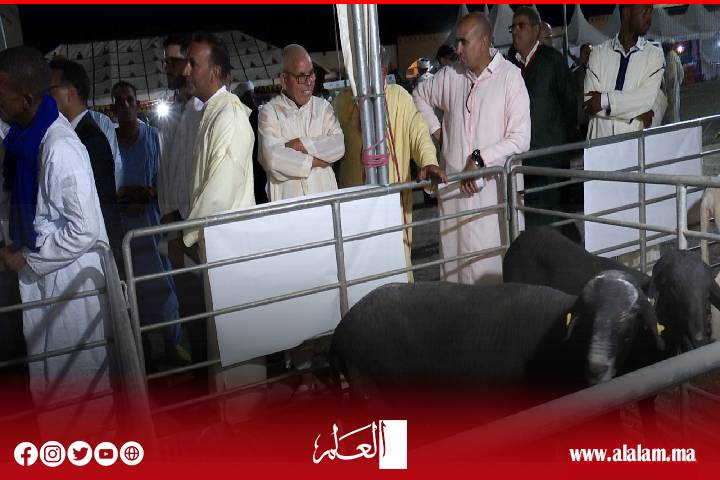 معرض سلالة "الدمان" بآيت ولال بزاكورة.. احتفاء بتراث فلاحي أصيل ودعامة للتنمية المحلية معرض سلالة "الدمان" بآيت ولال بزاكورة.. احتفاء بتراث فلاحي أصيل ودعامة للتنمية المحلية