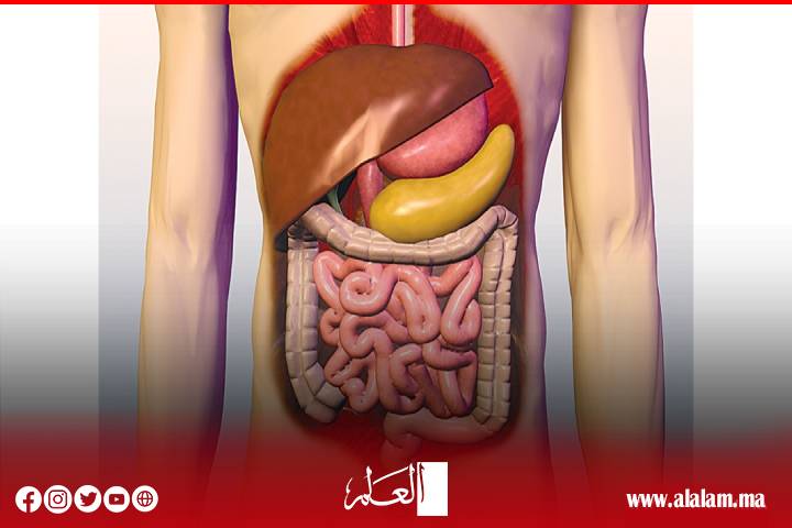 الدكتور بوحاجب: غياب مراقبة الجودة أحيانا يفتح المجال أمام التلاعب بصحة الناس..‼ الدكتور بوحاجب: غياب مراقبة الجودة أحيانا يفتح المجال أمام التلاعب بصحة الناس..‼