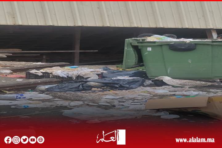 تلوث بيئي خطير يهدد ميناء الحسيمة وسط مطالب بالتدخل العاجل