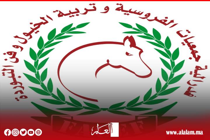 أزيد من 1000 فرس وفارس يقدمون عروضا في فن التبوريدة خلال مهرجان القنيطرة الثقافي والفني والرياضي