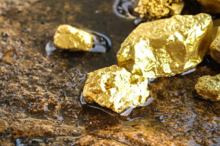 فضيحة الخطأ المطبعي.. شركة تعدين تخفض مردودية ذهب كلميم من 300 إلى 30 غراما فقط فضيحة الخطأ المطبعي.. شركة تعدين تخفض مردودية ذهب كلميم من 300 إلى 30 غراما فقط