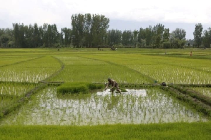 تساقطات مطرية تنعش السدود والمزروعات والجديدة وآسفي تتصدران بأعلى المعدلات