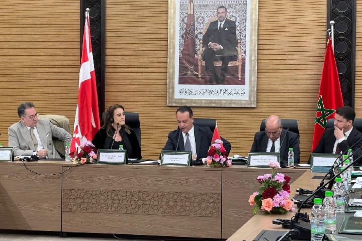 ورشة مغربية دنماركية تبحث سُبل تطوير آلية الإفراج المقيد بشروط