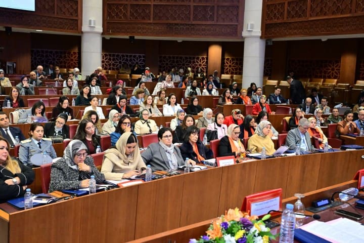 ابن يحيى تسجل أن القيمة الاقتصادية للعمل المنزلي تصل إلى 513 مليار درهم