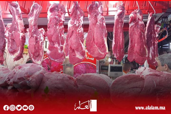 أسعار اللحوم الحمراء تواصل الارتفاع ومهنيون يوضحون..