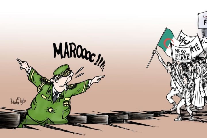 رسالة مفتوحة إلى الجزائر