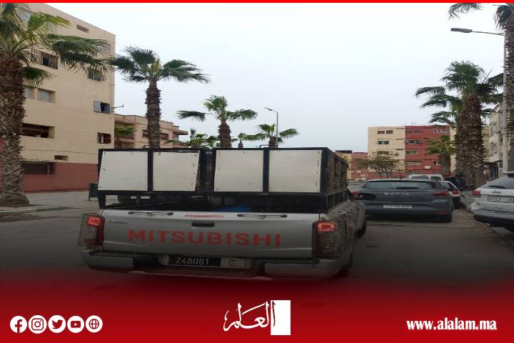 حملة لجمع الكلاب الضالة بأحد أحياء سلا استجابة سريعة وتفاعل إيجابي مع شكايات الساكنة