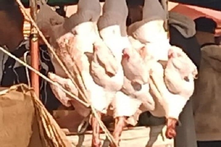 الجديدة: سوق "الحمرا" بمولاي عبد الله.. فوضى عارمة ووقاية صحية مغيبة