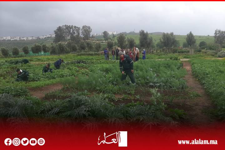 مدرسة البستنة بالولجة (سلا): يوم تواصلي مسائي لتعزيز الشراكة بين المؤسسة والأسرة وفتح آفاق التكوين والتشغيل