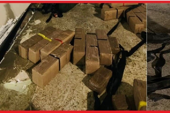 إحباط تهريب 490 كيلوغراما من الشيرا بميناء طنجة المتوسط وإيقاف سائق شاحنة