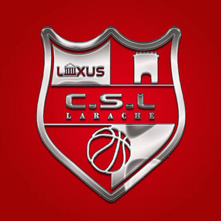 حين يُكافأ الظلم ويُعاقَب الاجتهاد: قضية نادي ليكسوس لكرة السلة