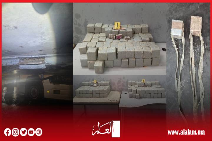 إحباط محاولة تهريب 181 كيلوغرام من مخدر الشيرا بميناء طنجة المتوسط