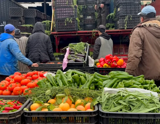 الارتفاع‭ ‬الصاروخي‭ ‬لأسعار‭ ‬الخضر‭ ‬مستمر‭ ‬في‭ ‬الأسواق‭ ‬المغربية‭ ‬