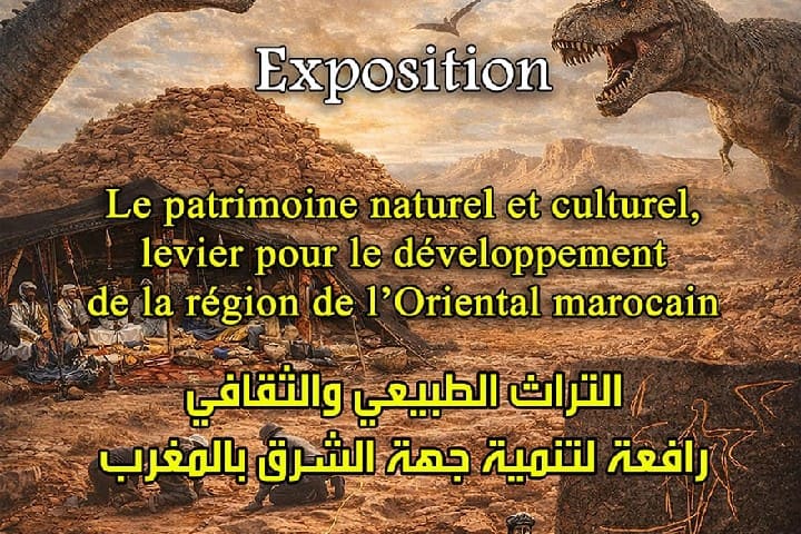 جامعة محمد الأول بوجدة تعرض أهم الاكتشافات الحفرية والأثرية بجهة الشرق يومي الثلاثاء والأربعاء