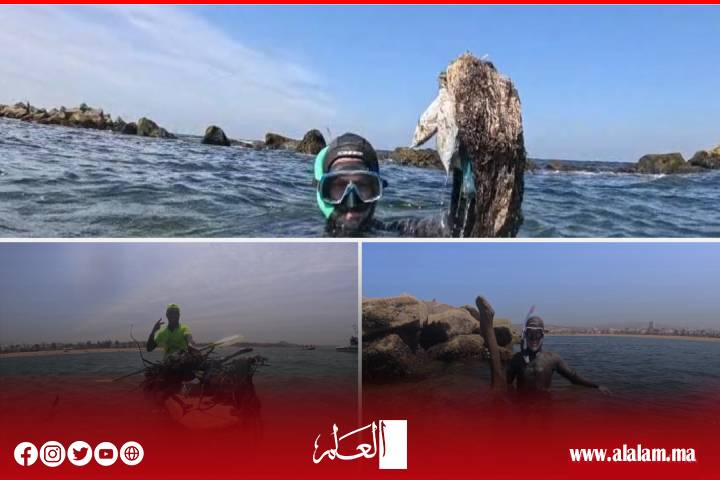 أكادير تحتضن النسخة الثامنة من "الدلفين الأزرق"