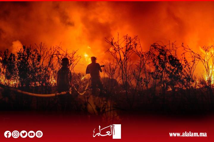 الوكالة الوطنية للمياه والغابات تحذر من ارتفاع خطر حرائق الغابات بعدد من أقاليم المملكة