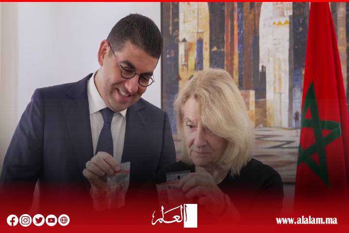 المغرب يستعيد مستحاثات نادرة تعود إلى أكثر من 66 مليون سنة بعد إحباط تهريبها بفرنسا