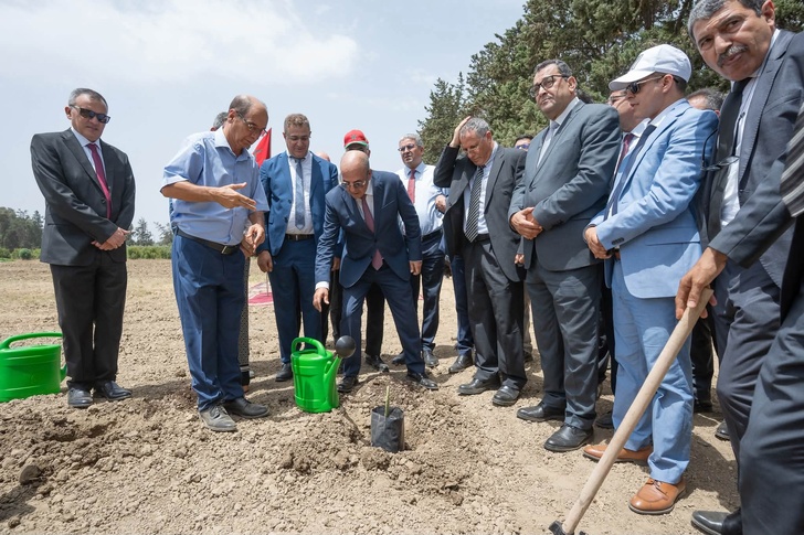 وزير الفلاحة يترأس بالقصر الكبير أشغال مجلس إدارة "لوكوس" ويطلق مشاريع مهيكلة وزير الفلاحة يترأس بالقصر الكبير أشغال مجلس إدارة "لوكوس" ويطلق مشاريع مهيكلة