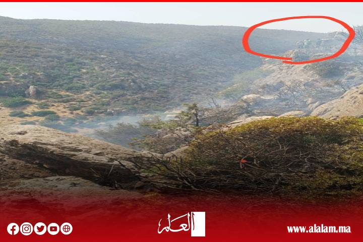 اليوم الثامن من حريق غابة أنفك.. القوات العمومية ومتطوعون ينجحون في تطويق النيران وسط تعبئة واسعة بأفورار