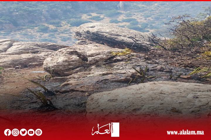 اليوم الثامن من حريق غابة أنفك.. القوات العمومية ومتطوعون ينجحون في تطويق النيران وسط تعبئة واسعة بأفورار