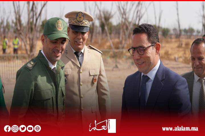 بعد سنوات من الإهمال.. انطلاق إعادة تشجير 67 هكتارًا بغابة بوحمام في سيدي بنور