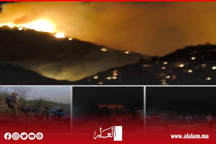 حريق غابة أيت مصاد بتيموليلت