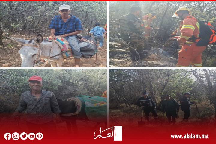 رغم الحرارة والرياح.. القوات العمومية ومتطوعو أفورار ينجحون في إخماد حرائق الغابات بإقليم أزيلال