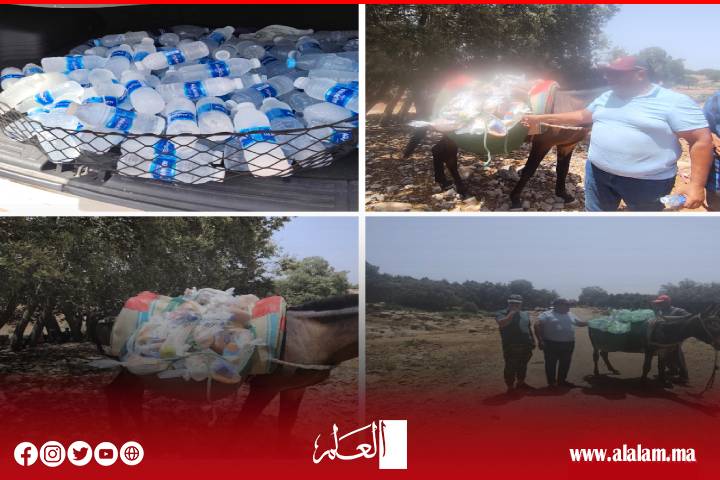 رغم الحرارة والرياح.. القوات العمومية ومتطوعو أفورار ينجحون في إخماد حرائق الغابات بإقليم أزيلال