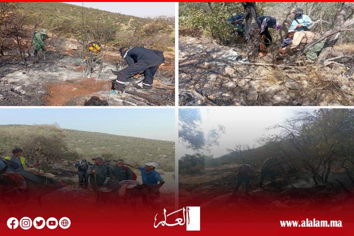 رغم الحرارة والرياح.. القوات العمومية ومتطوعو أفورار ينجحون في إخماد حرائق الغابات بإقليم أزيلال