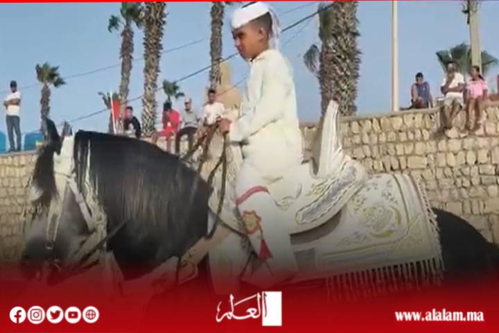 موسم مولاي عبد الله أمغار ينطلق بالجديدة.. ملايين الزوار وفروسية التبوريدة تزين المشهد وتساؤلات حول “الرعاية الملكية”