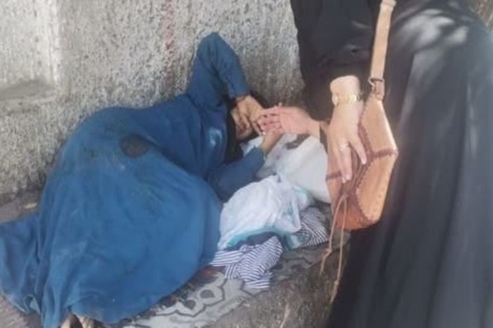 صورة من الأرشيف