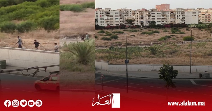 الدار البيضاء.. فيديو يزعم استدراج طفلة داخل مقبرة يقود الأمن إلى كشف الحقيقة الدار البيضاء.. فيديو يزعم استدراج طفلة داخل مقبرة يقود الأمن إلى كشف الحقيقة