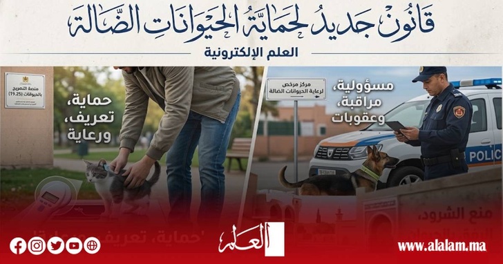 قانون الحيوانات الضالة يدخل حيز التنفيذ.. غرامات تصل إلى 30 مليون سنتيم وعقوبات حبسية للمخالفين قانون الحيوانات الضالة يدخل حيز التنفيذ.. غرامات تصل إلى 30 مليون سنتيم وعقوبات حبسية للمخالفين