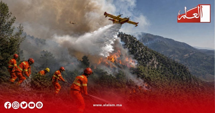 380 عنصراً يطوقون نيران تازاوت.. السيطرة على البؤر الرئيسية واستمرار معركة الإخماد بشفشاون 380 عنصراً يطوقون نيران تازاوت.. السيطرة على البؤر الرئيسية واستمرار معركة الإخماد بشفشاون